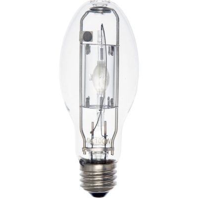 Grow Light Bulbs Archives | Toledo Indoor Garden